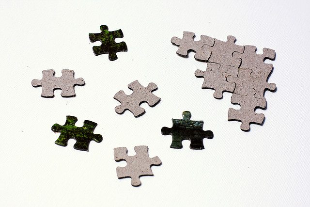diversity