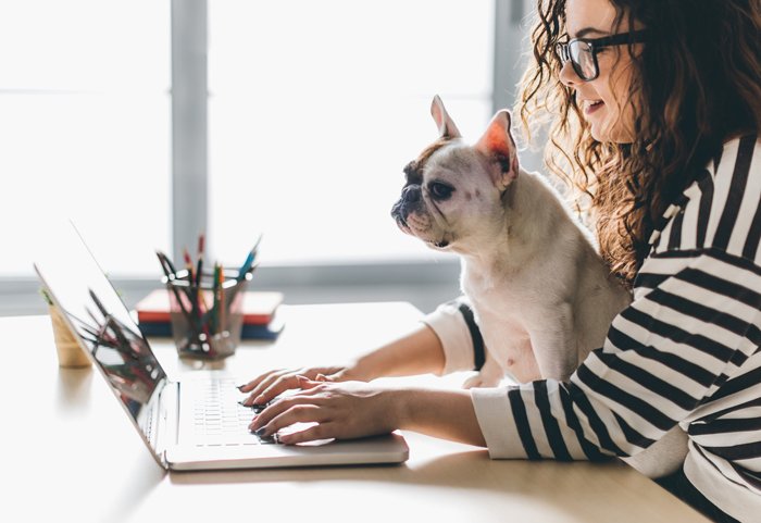 What do you think makes a great company culture?
