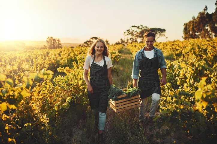 How user experience can promote sustainability