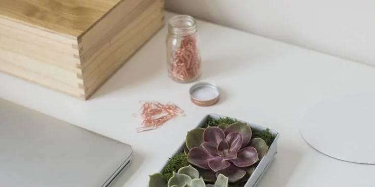 Here's what's on Bloom and Wild founder Aron Gelbard's work desk
