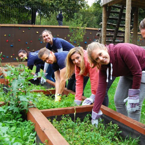 Check out the Garden Challenge for your next team building activity