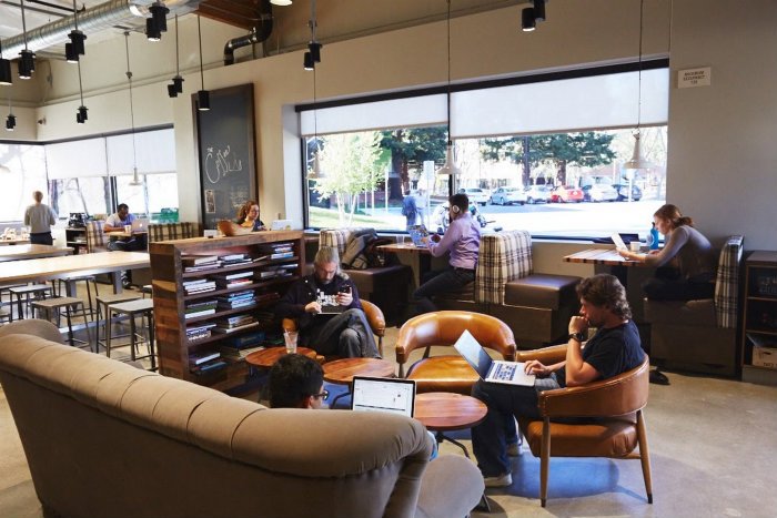 What types of company culture are there?