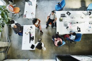 business survival