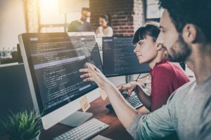Colleagues working on open source software