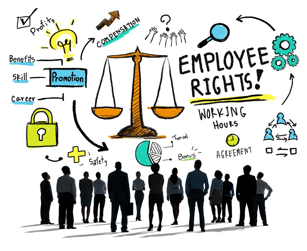 Employment law - concept