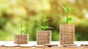 skills to learn to make money - what is needed