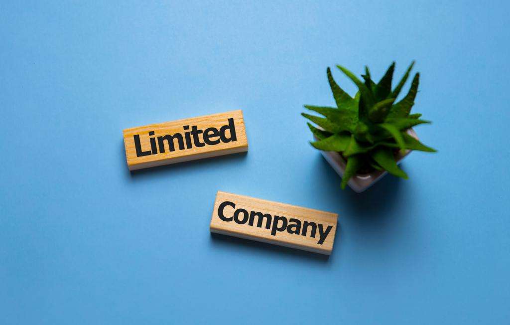 Investing in shares through a limited company