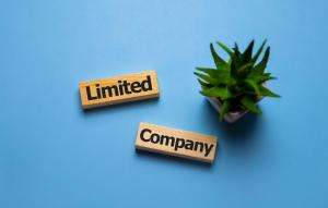 Investing in shares through a limited company