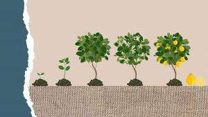 growing your business